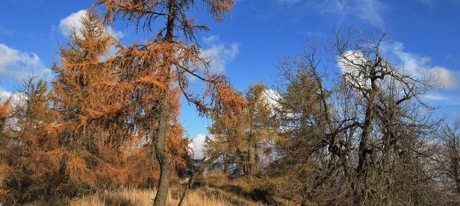 Bačkorová, Javorina, Skalnatá – jeseň 2015